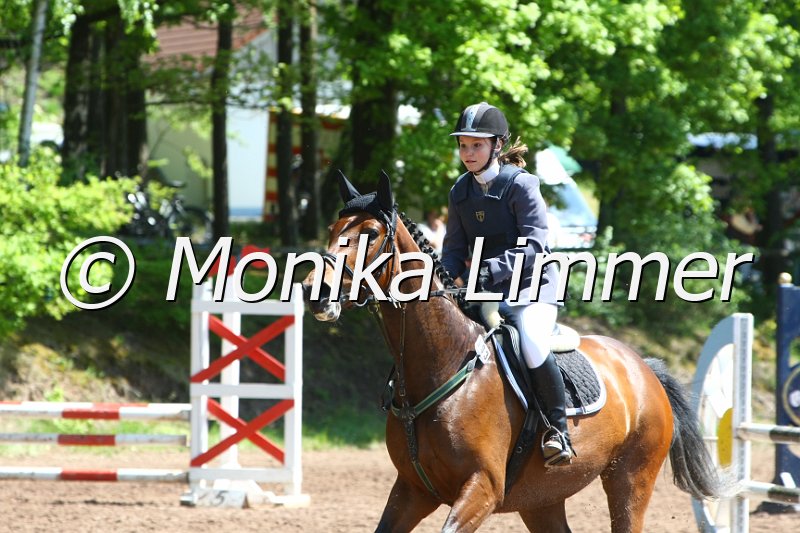 104M8319_SpringWB E.JPG